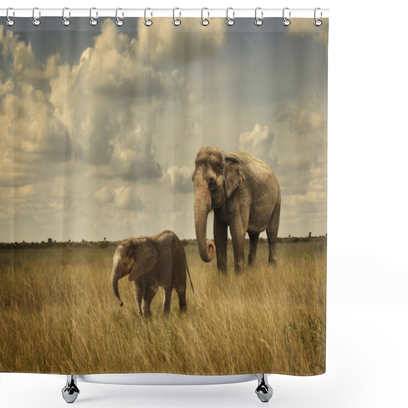 Personality  Elephants Shower Curtains