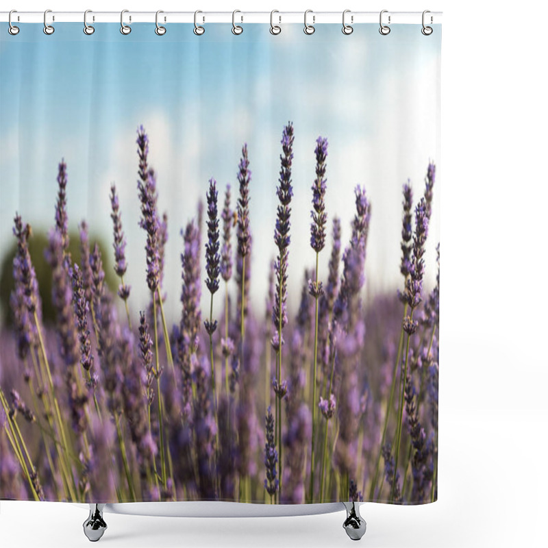 Personality  Flowers Shower Curtains