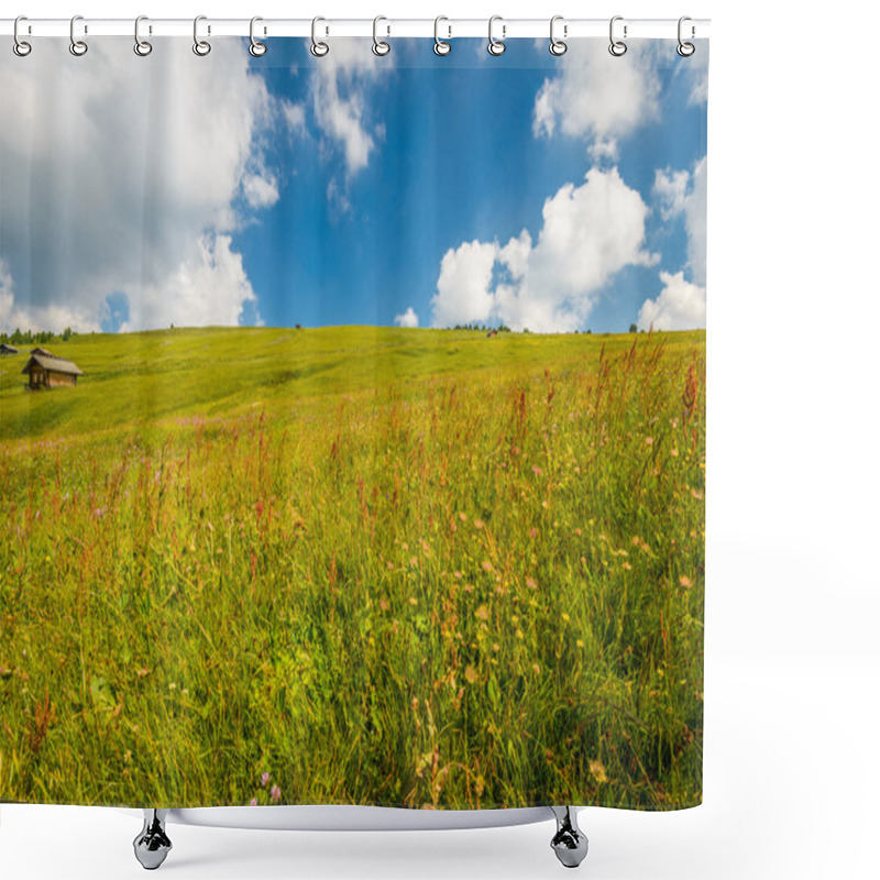 Personality  Meadow Shower Curtains