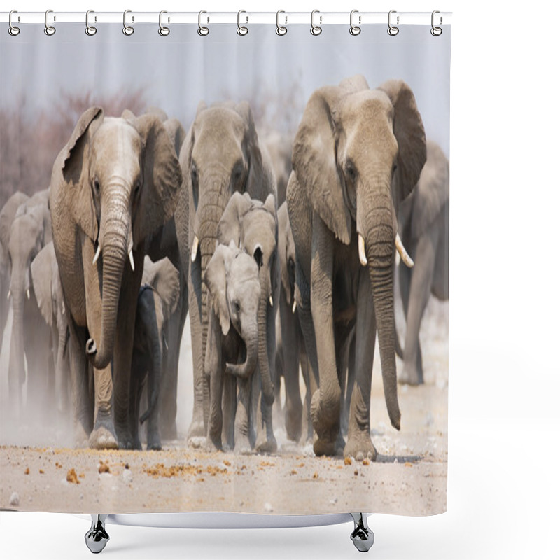 Personality  Elephant Herd Shower Curtains