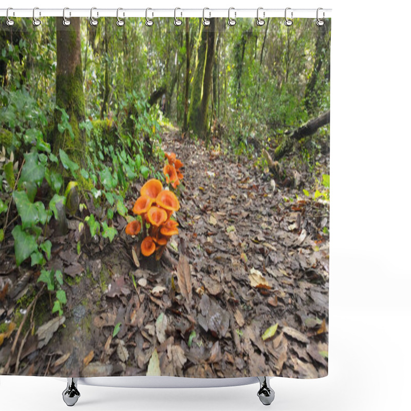 Personality  Vibrant Orange Mushrooms Growing In Clusters On Forest Floor Amid Fallen Autumn Leaves And Green Undergrowth, Creating A Striking Natural Display In Woodland At Rio De Mouros Pathway In Condeixa, Coimbra Portugal. Shower Curtains