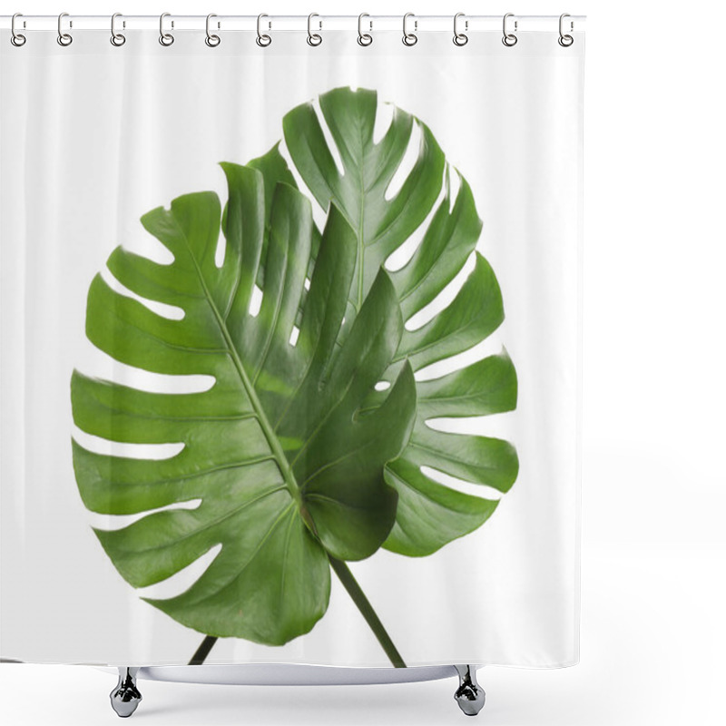 Personality  Fresh Green Tropical Leaves On White Background Shower Curtains