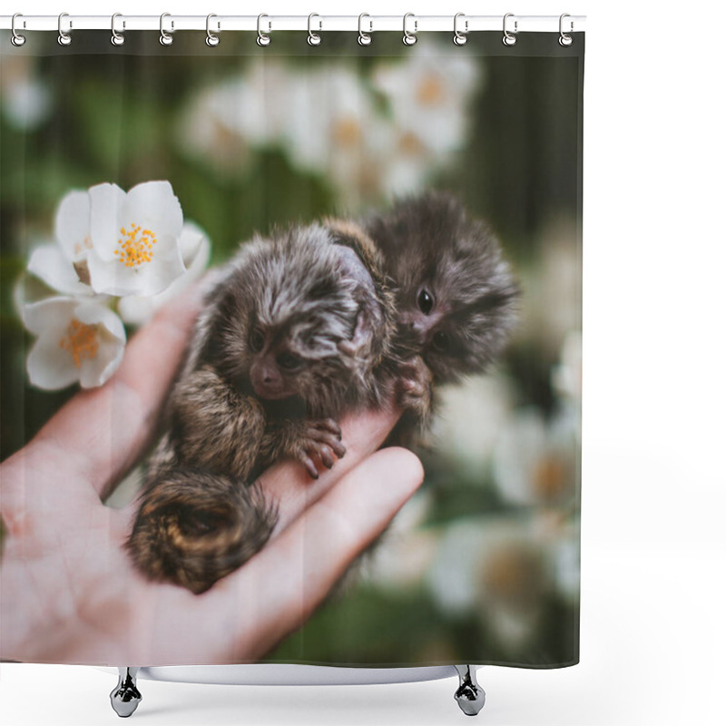 Personality  The Common Marmoset Babies In Summer Garden On Human Hand Shower Curtains