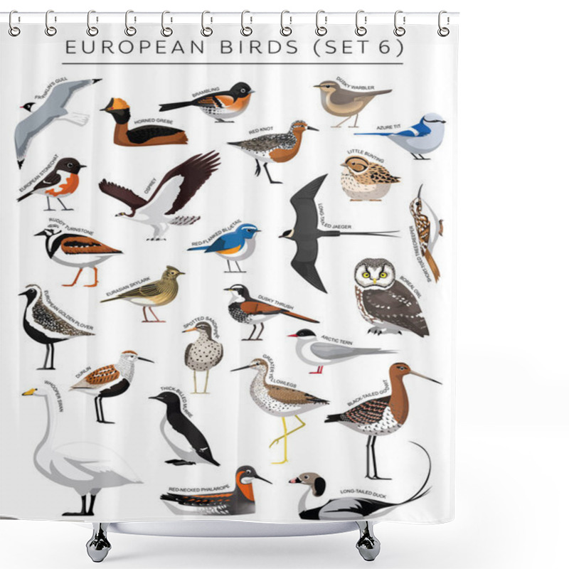 Personality  European Birds Set Cartoon Vector Character 6 Shower Curtains