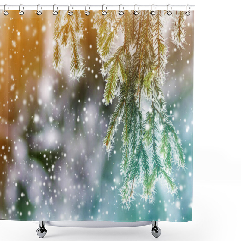 Personality  Close-up Of Pine Tree Covered With Snow Frost In Winter Shower Curtains