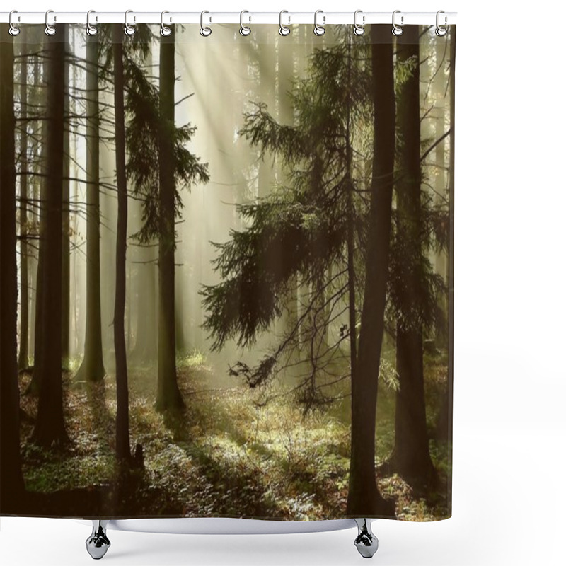 Personality  Coniferous Forest At Dawn Shower Curtains