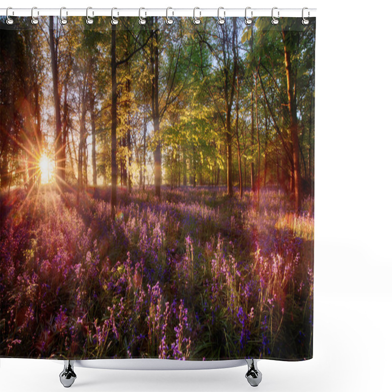 Personality  Dawn Light Shines Through Bluebell Forest Shower Curtains