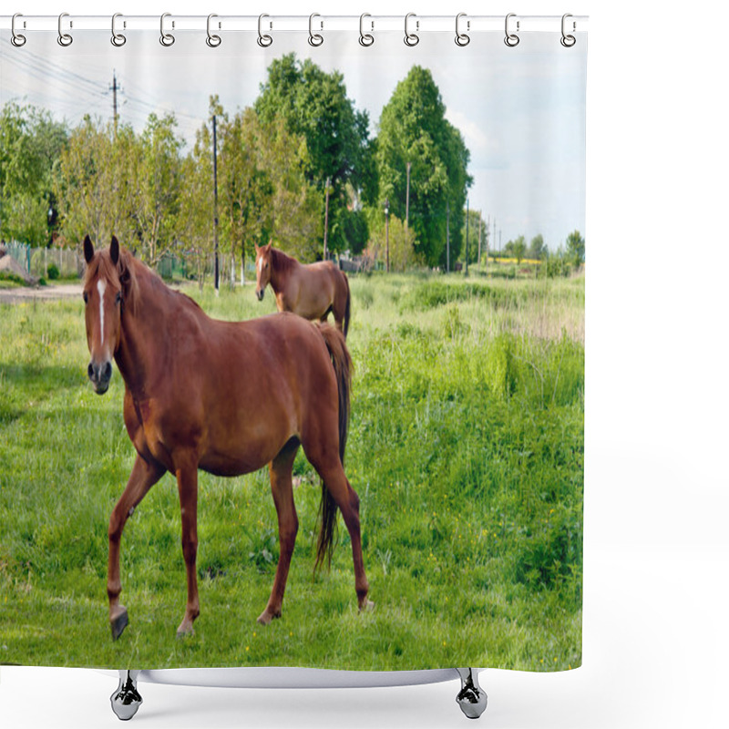 Personality  Rural Landscape Shower Curtains