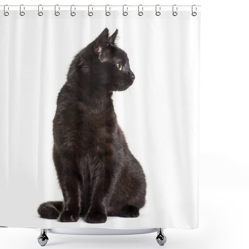 Personality  Mixed Breed Cat Sitting Against White Background Shower Curtains