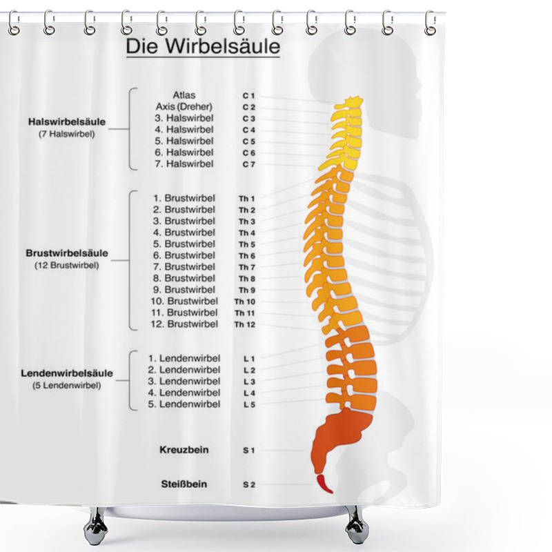 Personality  Spine German Labeling Shower Curtains