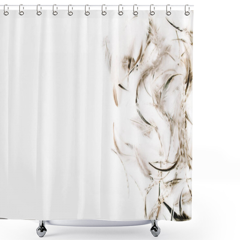 Personality  Bird Feathers Background Shower Curtains