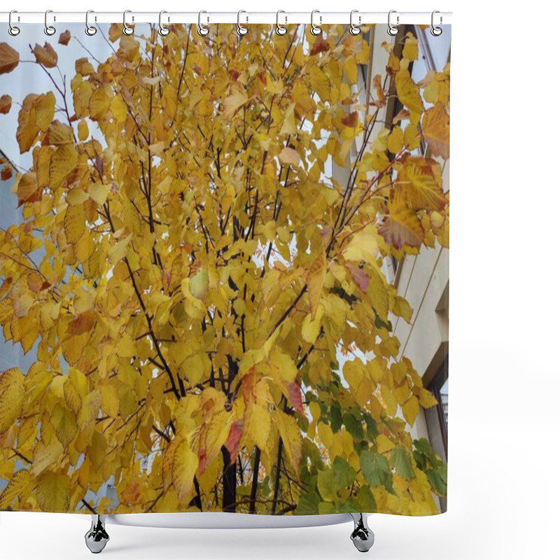 Personality  Golden Autumn Leaves With Dark Speckles, Representing The Passage Of Time And Nature's Imperfections, As A Metaphor For Beauty In Flaws And Seasonal Transformation Amidst The Warm Glow Of Fall Shower Curtains