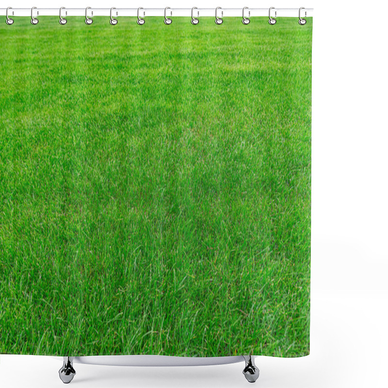 Personality  Green Grass Texture From Field. Green Lawn, Backyard For Background, Grass Texture, Green Lawn Desktop Picture. Shower Curtains