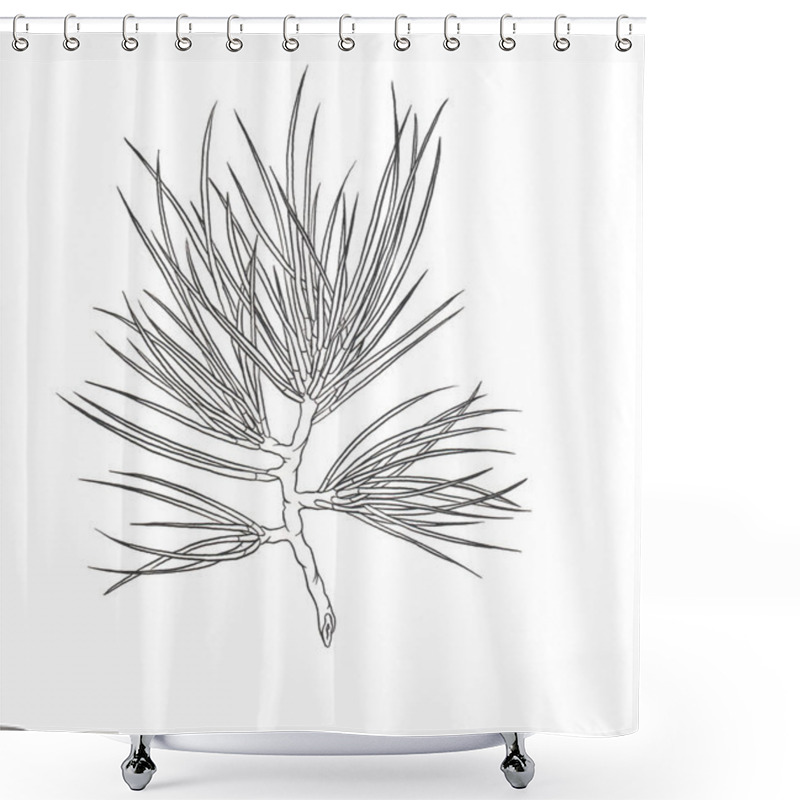 Personality  Decorative Branch Of A Christmas Pine Tree. Contour Illustration Shower Curtains