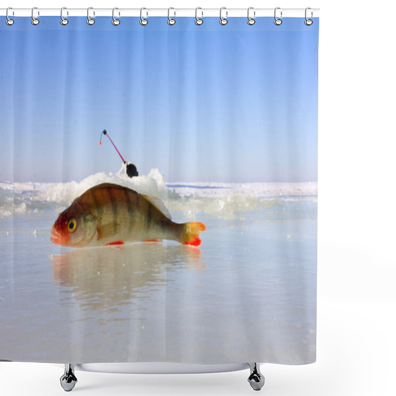 Personality  Winter Perch Fishing Leisure Shower Curtains