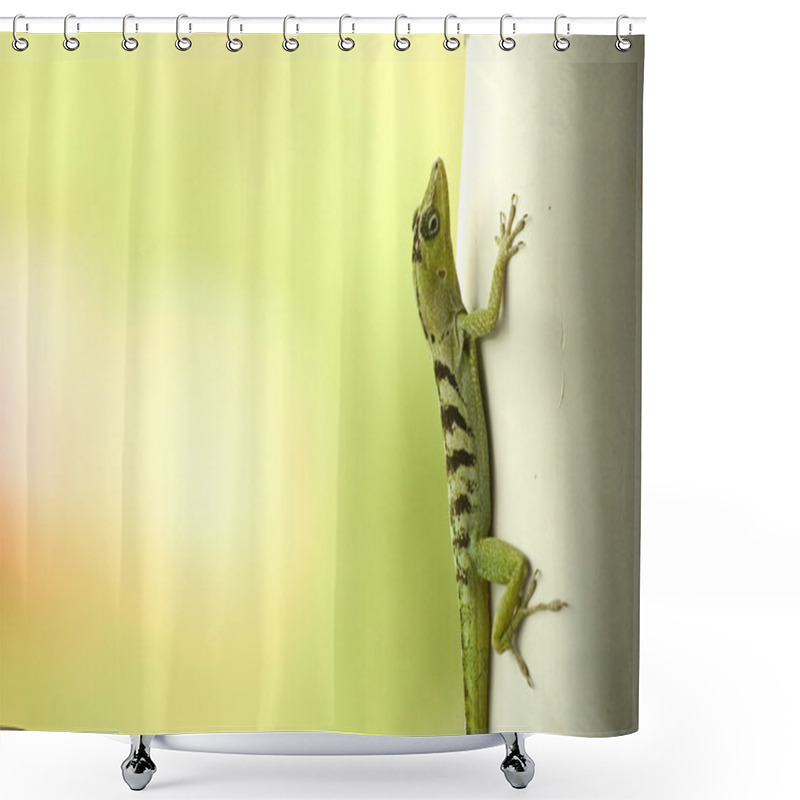 Personality  Green Lizard Shower Curtains