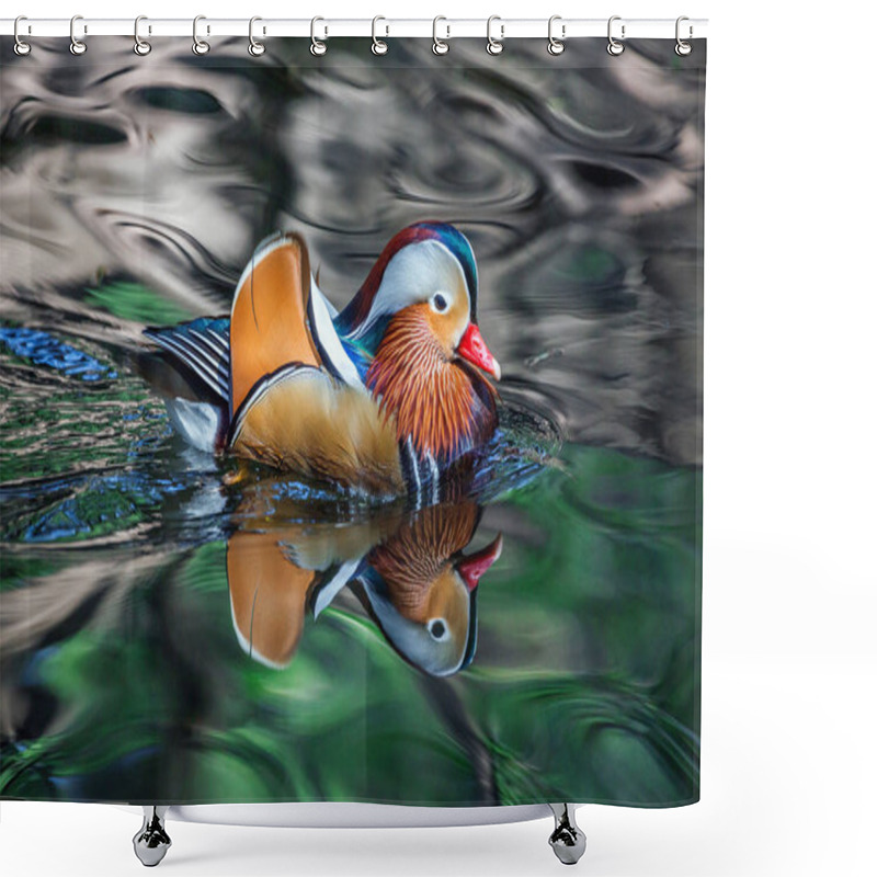 Personality  Male Mandarin Ducks Are Swimming In The Water With A Beautiful Pattern. Shower Curtains