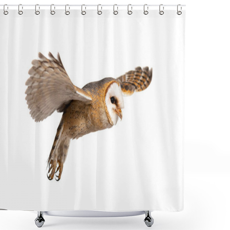 Personality  Side View Of A Barn Owl, Nocturnal Bird Of Prey, Flying Wings Spread, Tyto Alba, Isolated On Withe Shower Curtains