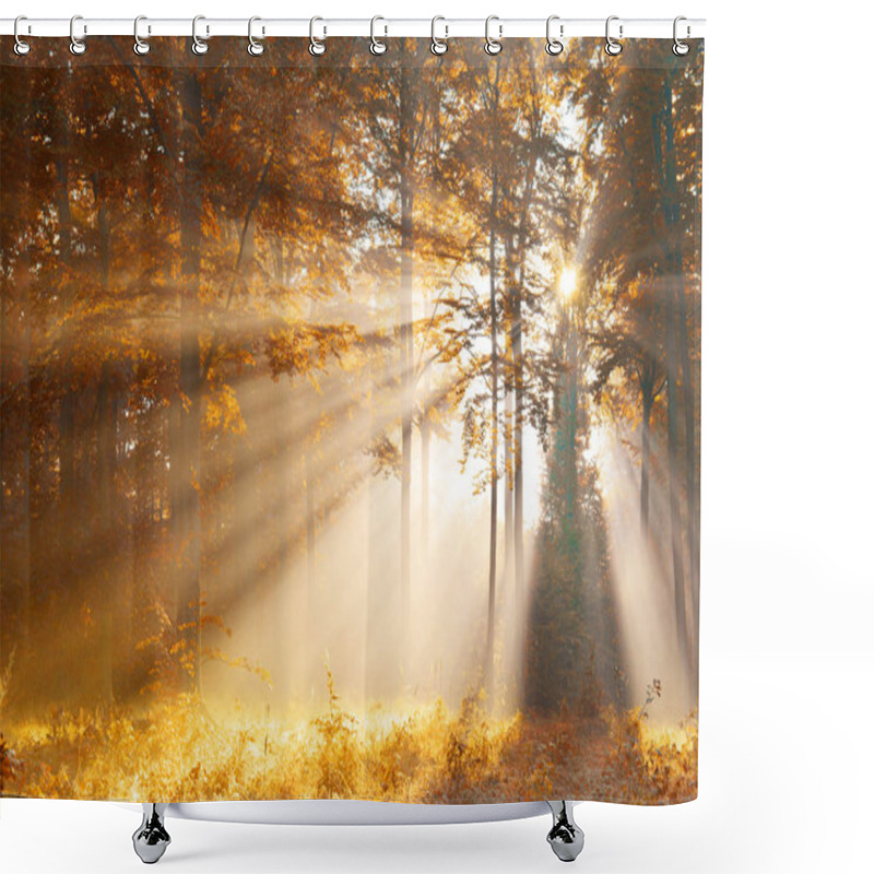 Personality  Beautiful Dawn In Yellow Autumn Forest Shower Curtains