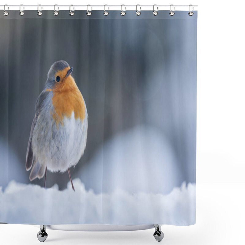 Personality  Robin On Snow Blue Ambiant Light Shower Curtains