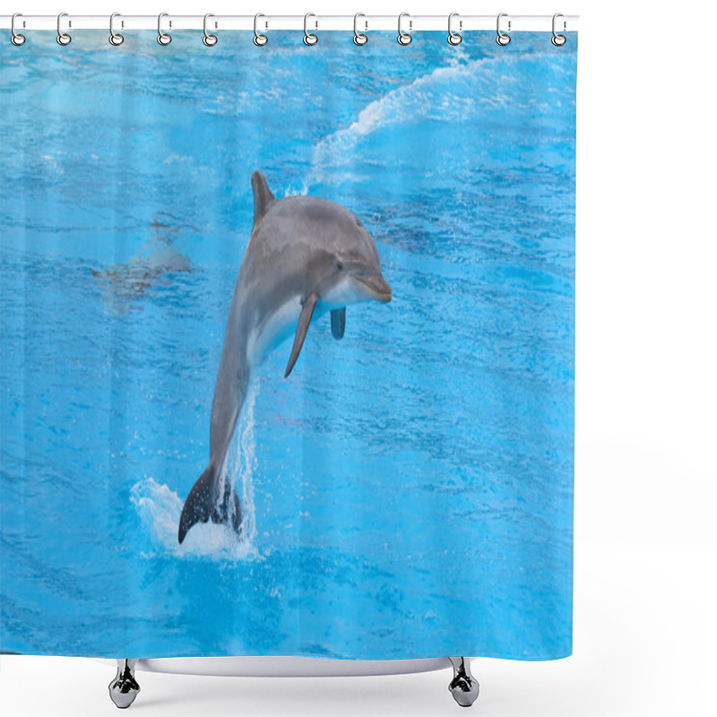 Personality  Bottlenose Dolphin Shower Curtains