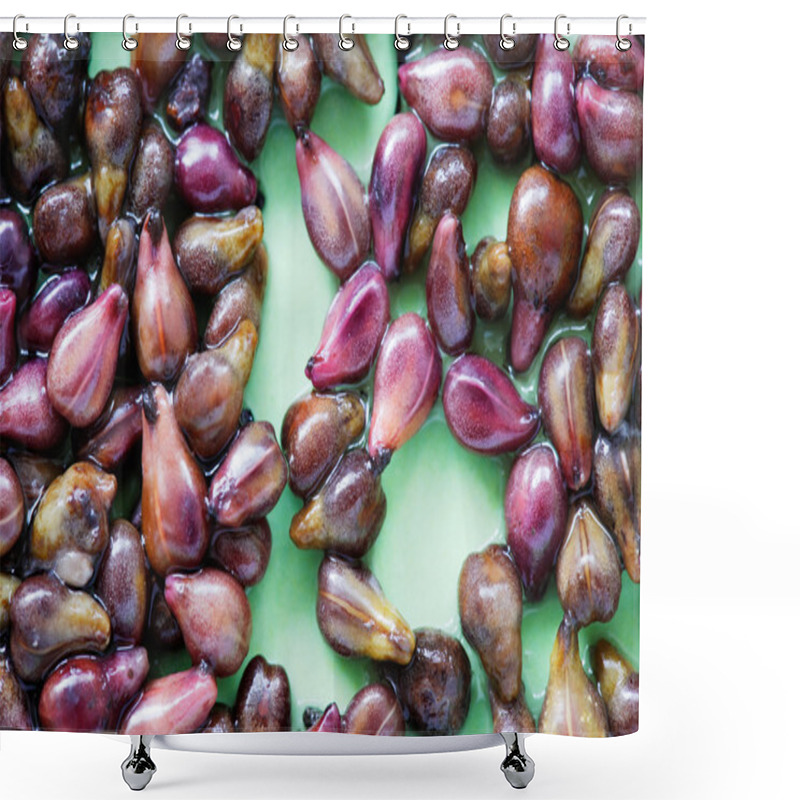 Personality  Grapes Pips Shower Curtains