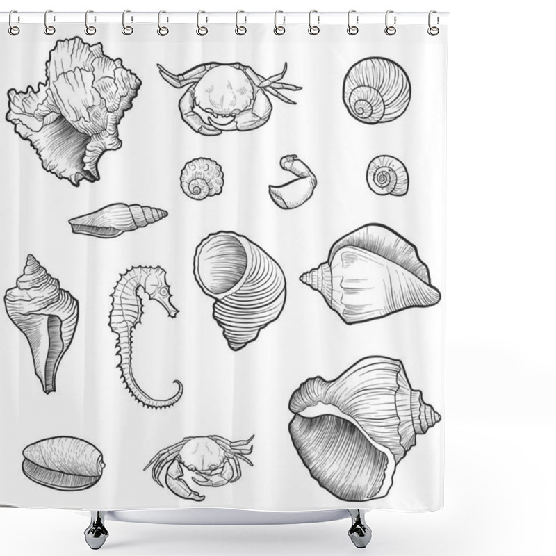 Personality  Hand Drawn Vector Seashells Shower Curtains