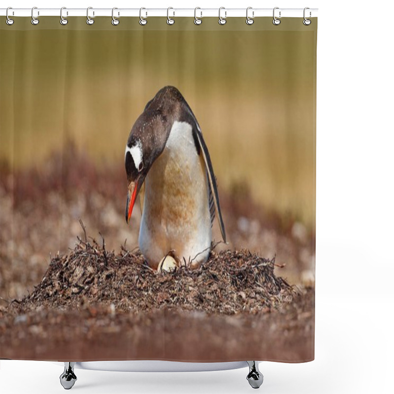 Personality  Nesting Penguin On Meadow Shower Curtains