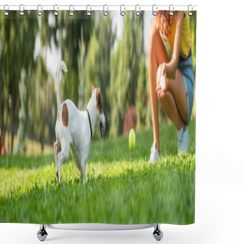 Personality  Cropped View Of Young Woman Playing Ball With Jack Russell Terrier Dog Shower Curtains