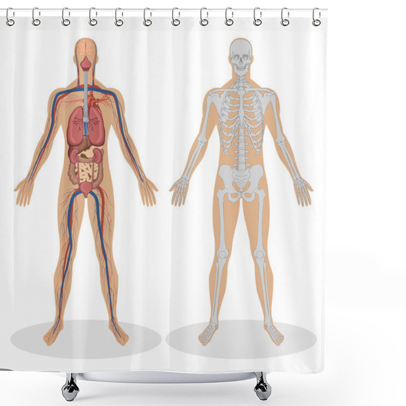 Personality  Human Anatomy Of Man Shower Curtains