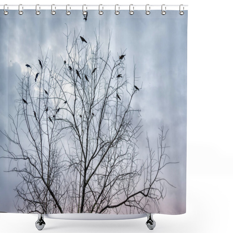 Personality  Crows Perch On Dry Branches Shower Curtains