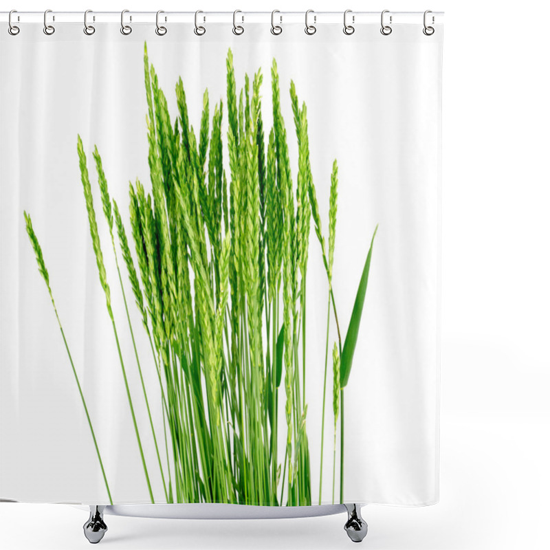 Personality  Wheat Grass - Elytrígia. Shower Curtains