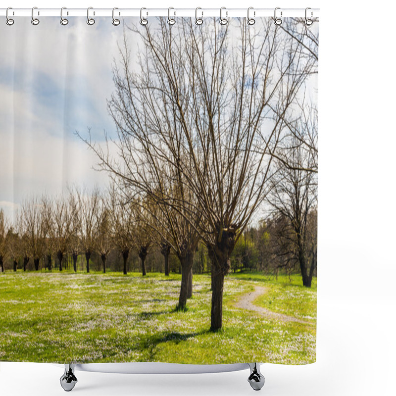 Personality  Spring Morning Shower Curtains