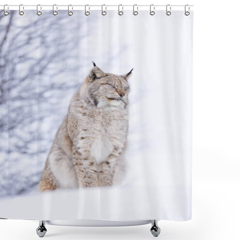 Personality  A Beautiful Lynx Sits Peacefully Amidst A Snowy, Serene Winter Landscape In Scandinavia. Its Fur Blends Into The Backdrop, Capturing The Essence Of Calm And Natural Beauty In The Wild. Shower Curtains