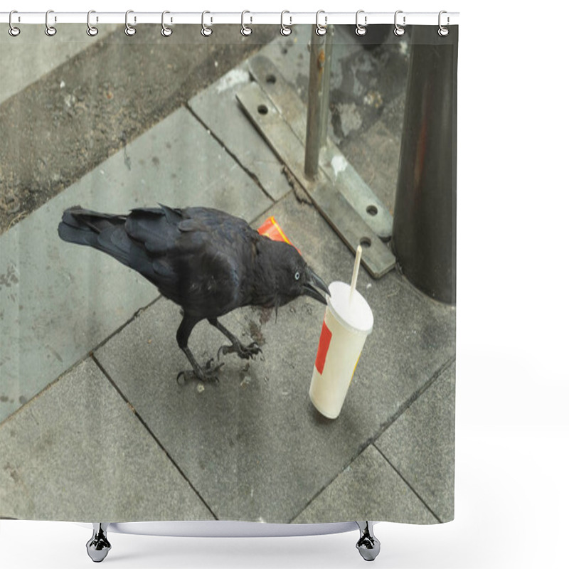 Personality  Black Crow And Raven Bird Eating Food From Rubbish On Floor In S Shower Curtains