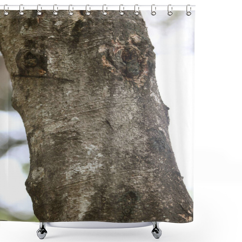 Personality  Wooden Bark In The Garden , Close Up Texture  Shower Curtains