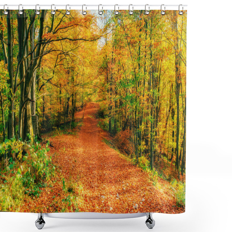 Personality  Autumn Alley. Carpathians. Ukraine, Europe Shower Curtains