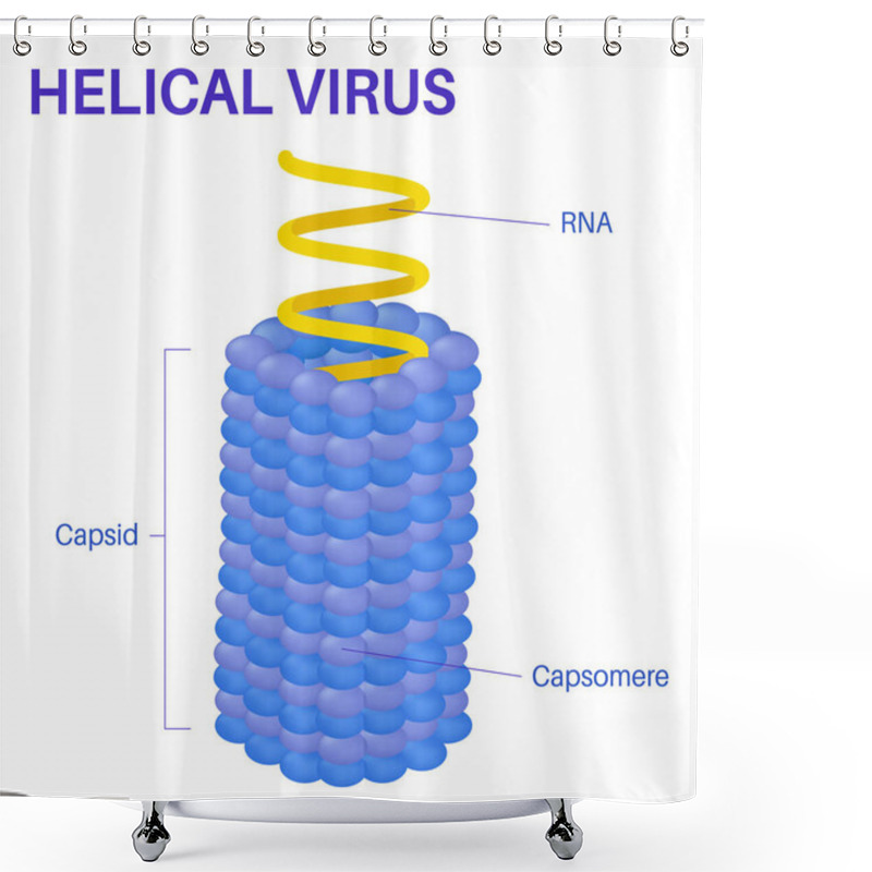 Personality  Structure Of The Helical Virus. Shower Curtains