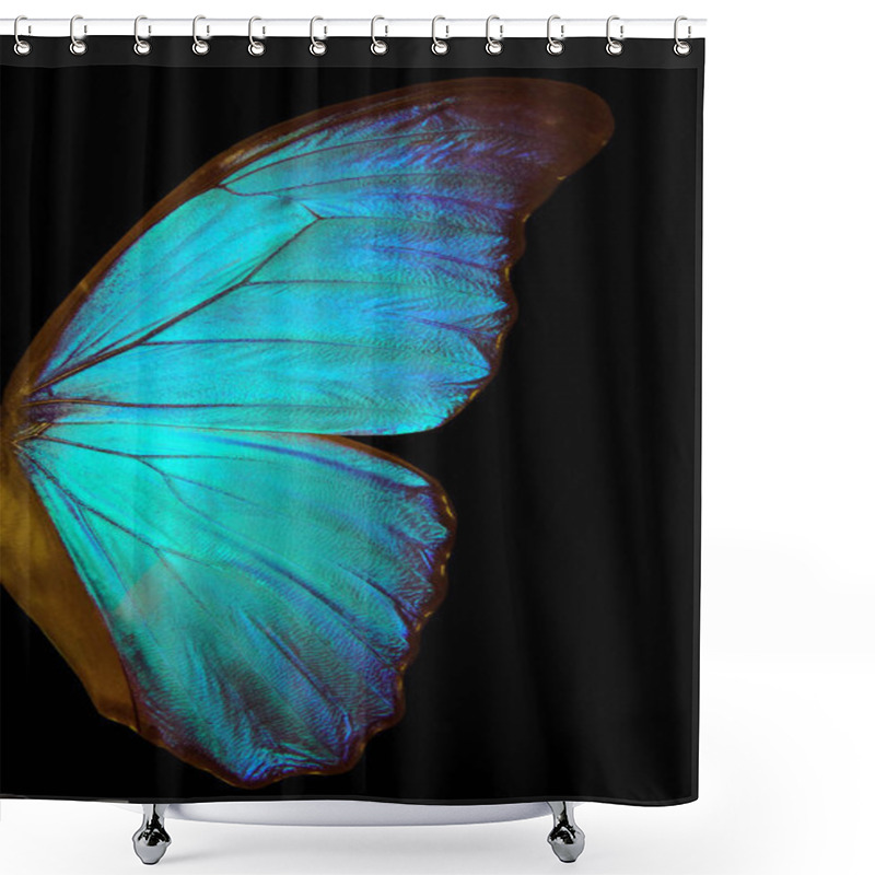 Personality  Wings Of A Butterfly Morpho Texture Background. Morpho Butterfly Shower Curtains