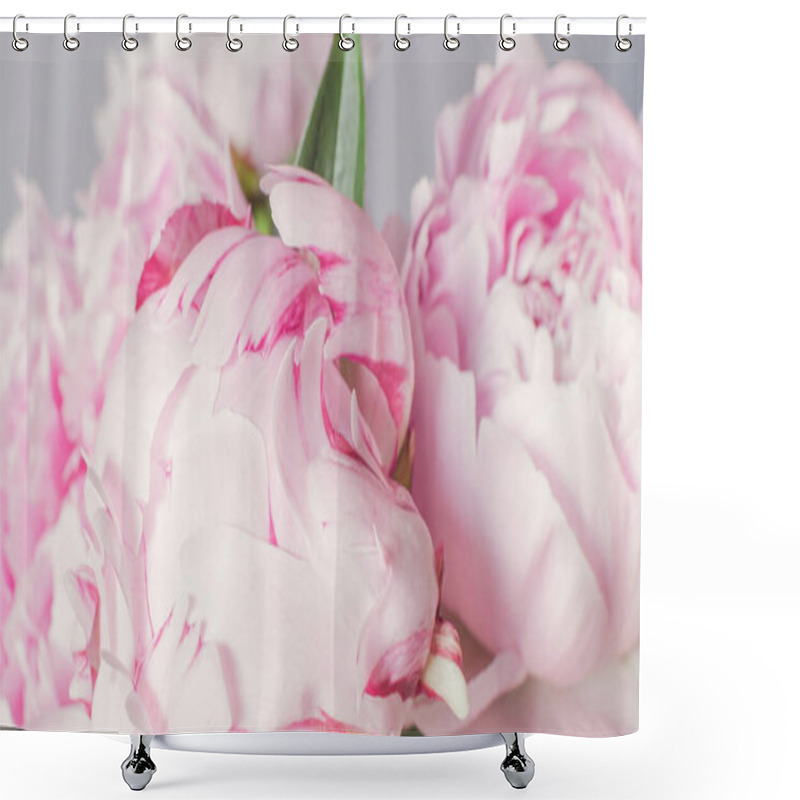 Personality  Wallpaper With Lovely Flowers White And Pink Peonies. Floral Compositions, Daylight. Beautiful Pale Pink Peony. Pastel Peony Flowers In Bloom As Floral Art Background, Wedding Decor And Luxury Branding Design Shower Curtains