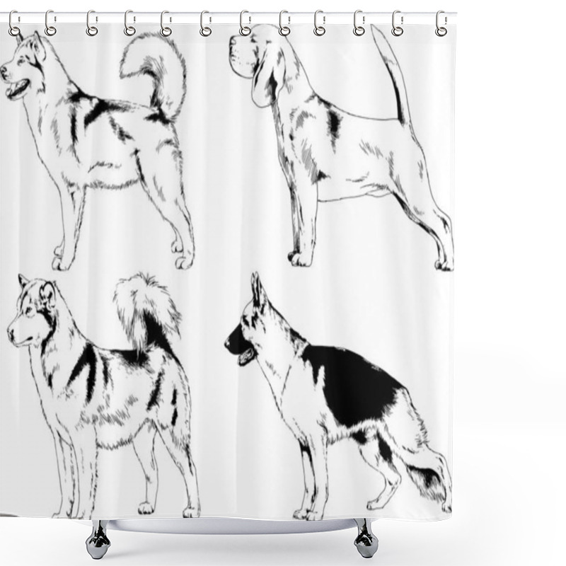 Personality  Vector Drawings Sketches Pedigree Dogs In The Racks Drawn In Ink By Hand , Objects With No Background Shower Curtains