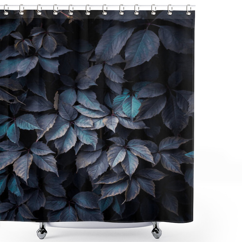 Personality  Blue Plant Leaves In The Garden, Blue Background  Shower Curtains