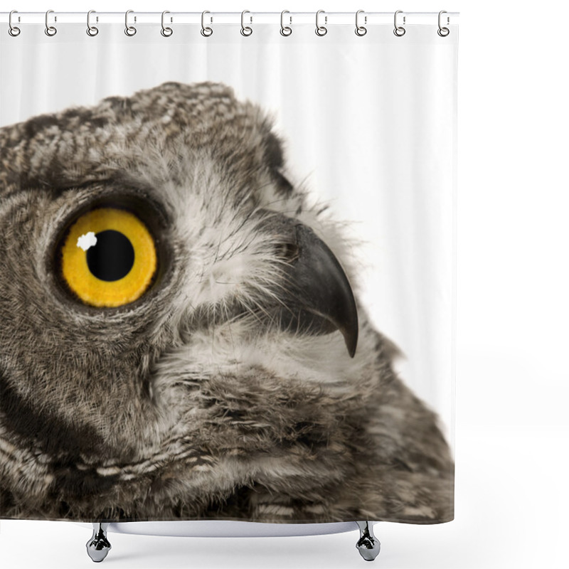 Personality  Spotted Eagle-owl - Bubo Africanus (8 Months) Shower Curtains