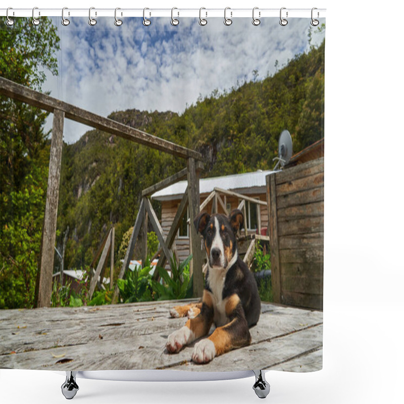 Personality  Cute Little Puppy Dog On The Wooden Piers And Walkways Of Lumber Town Caleta Tortel At Rio Baker Along The Carretera Austral In Patagonia, Chile, South America      Shower Curtains