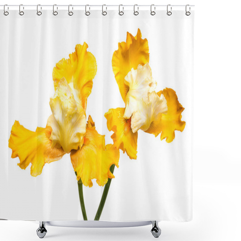 Personality  Blooming Iris Flowers Shower Curtains