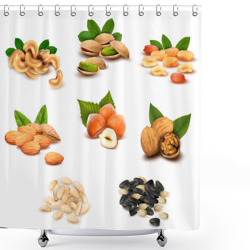 Personality  Big Collection Of Ripe Nuts And Seeds Vector Shower Curtains