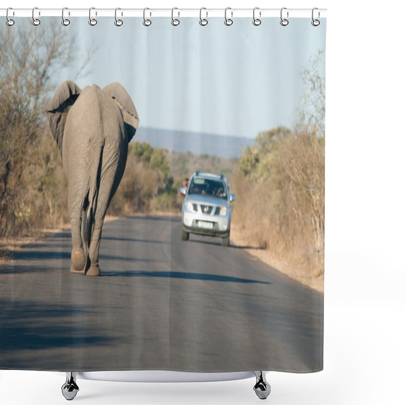 Personality  African Elephant On The Road Shower Curtains