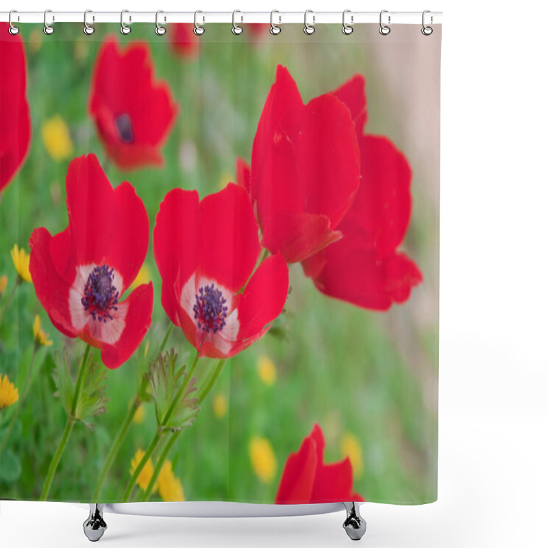 Personality  Closeup On Red Anemones Over Green Shower Curtains