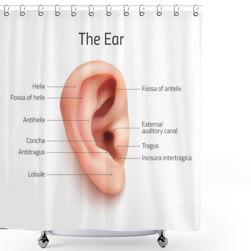 Personality  Realistic Infographic Ear Icon. Shower Curtains