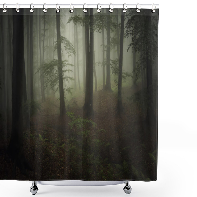 Personality  Foggy Forest Landscape Shower Curtains